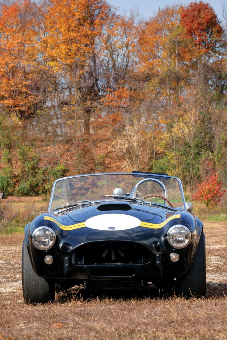  Shelby Cobra Factory Competition-Specification 1963 года  (фото 2 из 11)